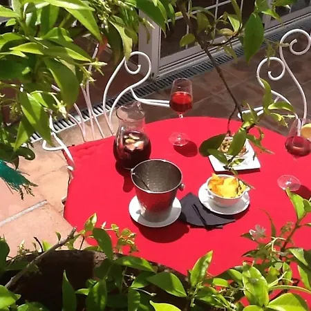 Mihotelito Hotel
